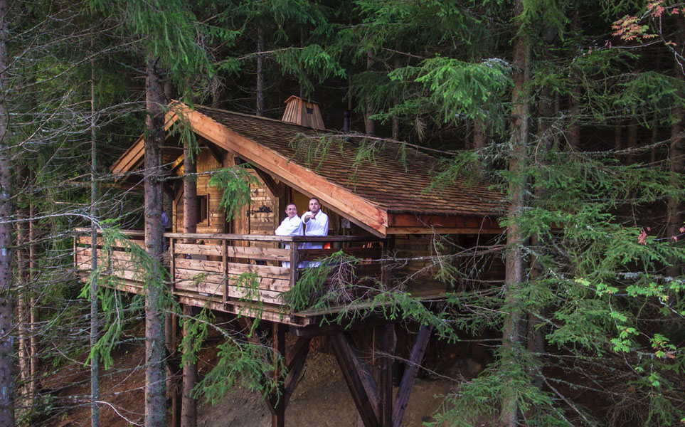 Filet suspendu dans les arbres  Maison dans les arbres, Cabane dans les  arbres, Idées jardin