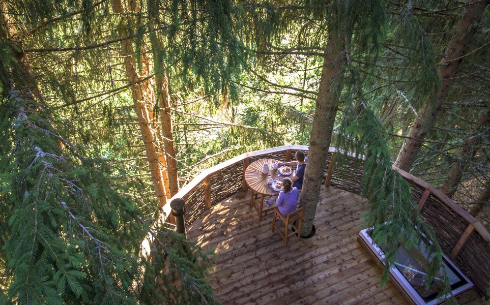 Filet suspendu dans les arbres  Maison dans les arbres, Cabane dans les  arbres, Idées jardin